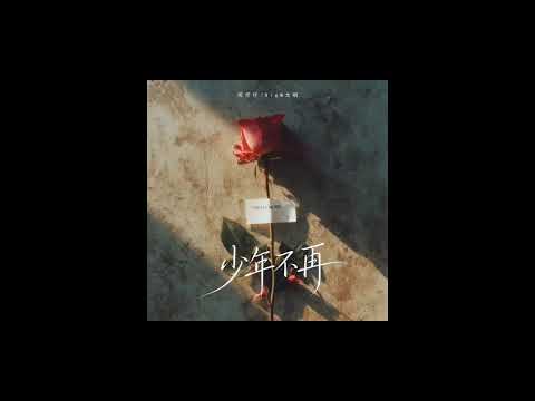 少年不再