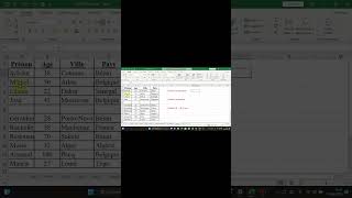Les fonctions NB.SI et NBVAL (Tutoriel Microsoft Excel)