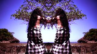 "Of Tides and Xylem"