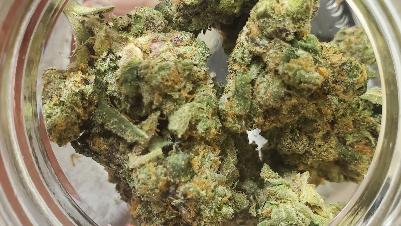 Loud Trees Lemon Royale strain review in the van