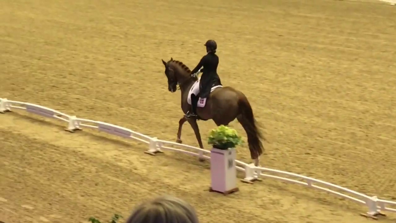 CDI5 GP 83,043% Bohemian and Catherine Dufour