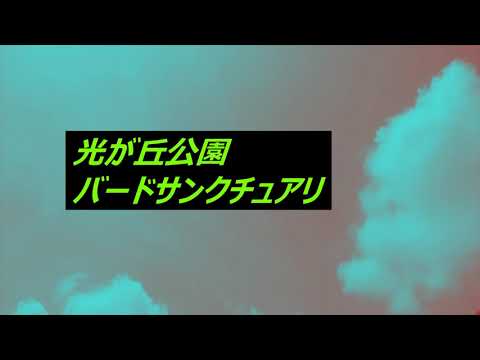 光が丘公園 バードサンクチュアリ紹介 Youtube
