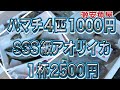 『何！ハマチ4匹1000円だと…』令和6年11月25日の激安魚屋@福井県敦賀市相木魚問屋