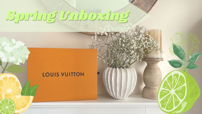 unbox my new everyday bag w me 🥰 #louisvuitton #louisvuittonbag