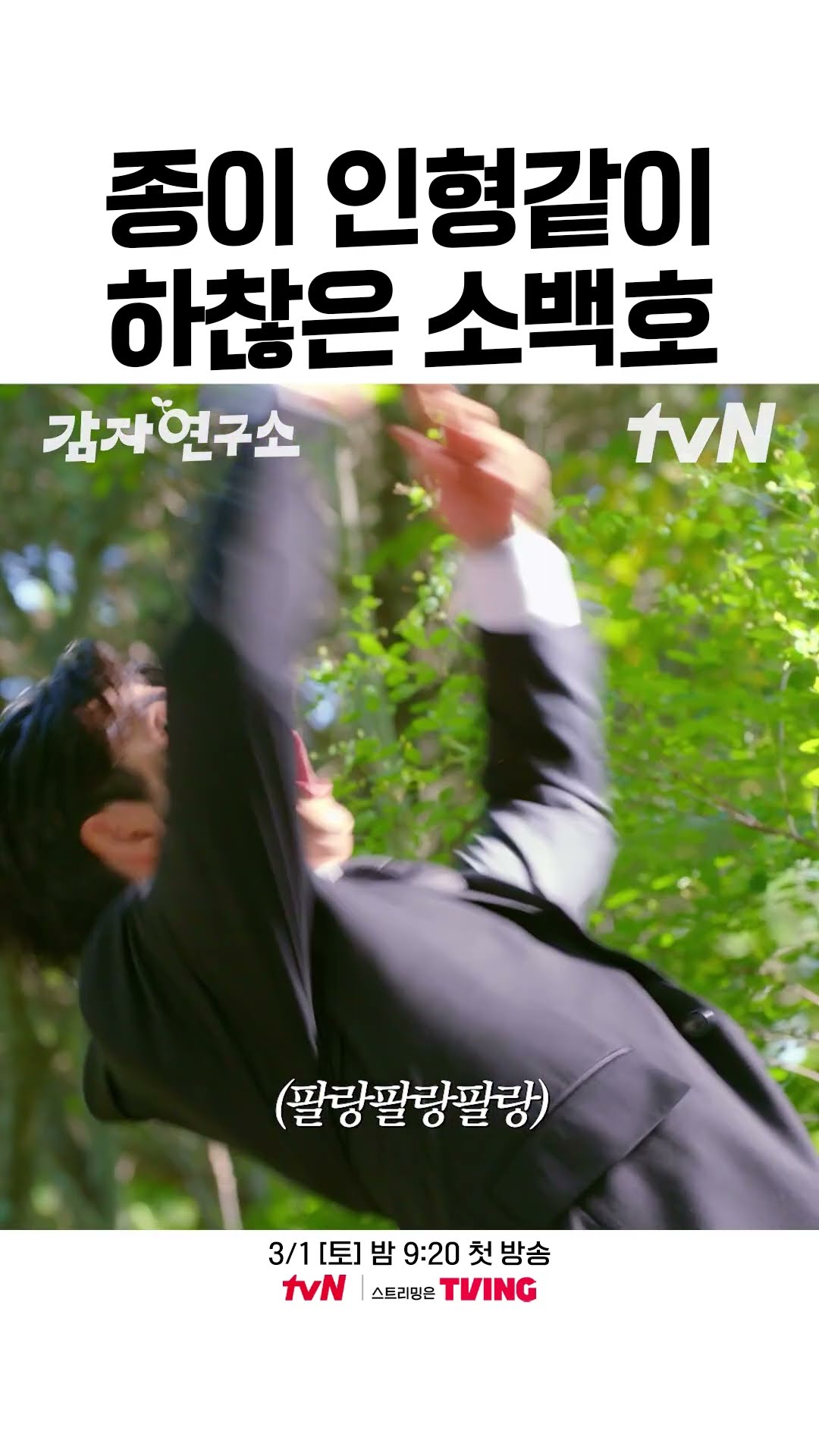 부피에 비해 한 없이 가벼운 팔랑 강태오? #감자연구소