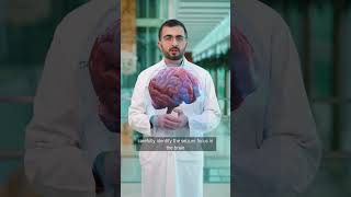 تشخيص وعلاج عالمي المستوى للصرع
تختلف تجربة مرض الصرع من شخص لآخر، وكذلك تختلف الرعاية المقدمة له.
يضمن برنامج الصرع في كليفلاند كلينك أبوظبي لكل مريض حصوله على العلاج الأكثر ملائمة لحالته الطبية، بدءاً من التشخيص الدقيق وصولاً إلى التقنيات المتقدمة مثل التحفيز العميق للدماغ.
يشاركنا الدكتور محمد أيمن هيكل، استشاري طب الأعصاب في معهد الأعصاب، كيف يوفر برنامج الصرع رعاية طبية متخصصة لكل مريض في كافة المراحل، بدءاً من التشخيص الطبي الدقيق، وصولاً إلى الخيارات العلاجية المتقدمة، وذلك لتلبية الاحتياجات المختلفة لكل مريض.
لمعرفة المزيد من المعلومات حول برنامج الصرع، تفضّلوا بزيارة الرابط: https://www.clevelandclinicabudhabi.ae/en/institutes-and-specialties/neurological/epilepsy. تشخيص وعلاج عالمي المستوى للصرع