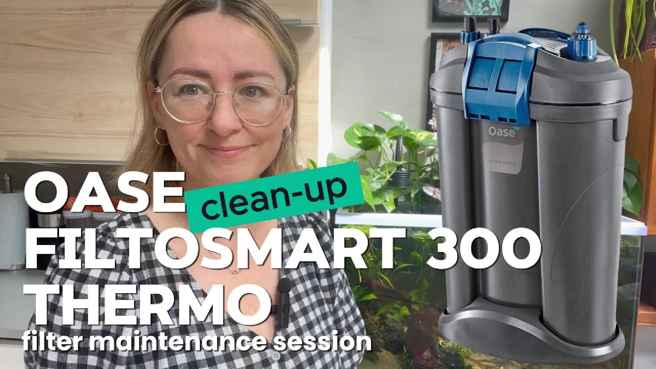 Oase FiltoSmart Thermo 300 filter cleaning session