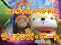 らいおんずげーとや。【ライオンズゲートの過ごし方】＆【キヨかっぱ姫ヒーリング歌】　ケメ子ちゃんねる　らいちゃんスペシャル。