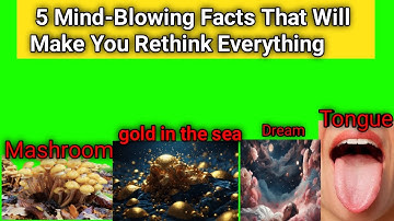 Dreams of Stardust & Tongue Prints:5 Facts That Prove You