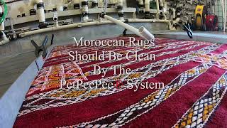 Moroccan Rug Should Be Clean By The Petpeepee System