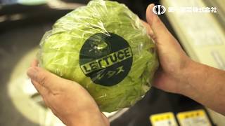 レタス包装機 | 第一包装株式会社