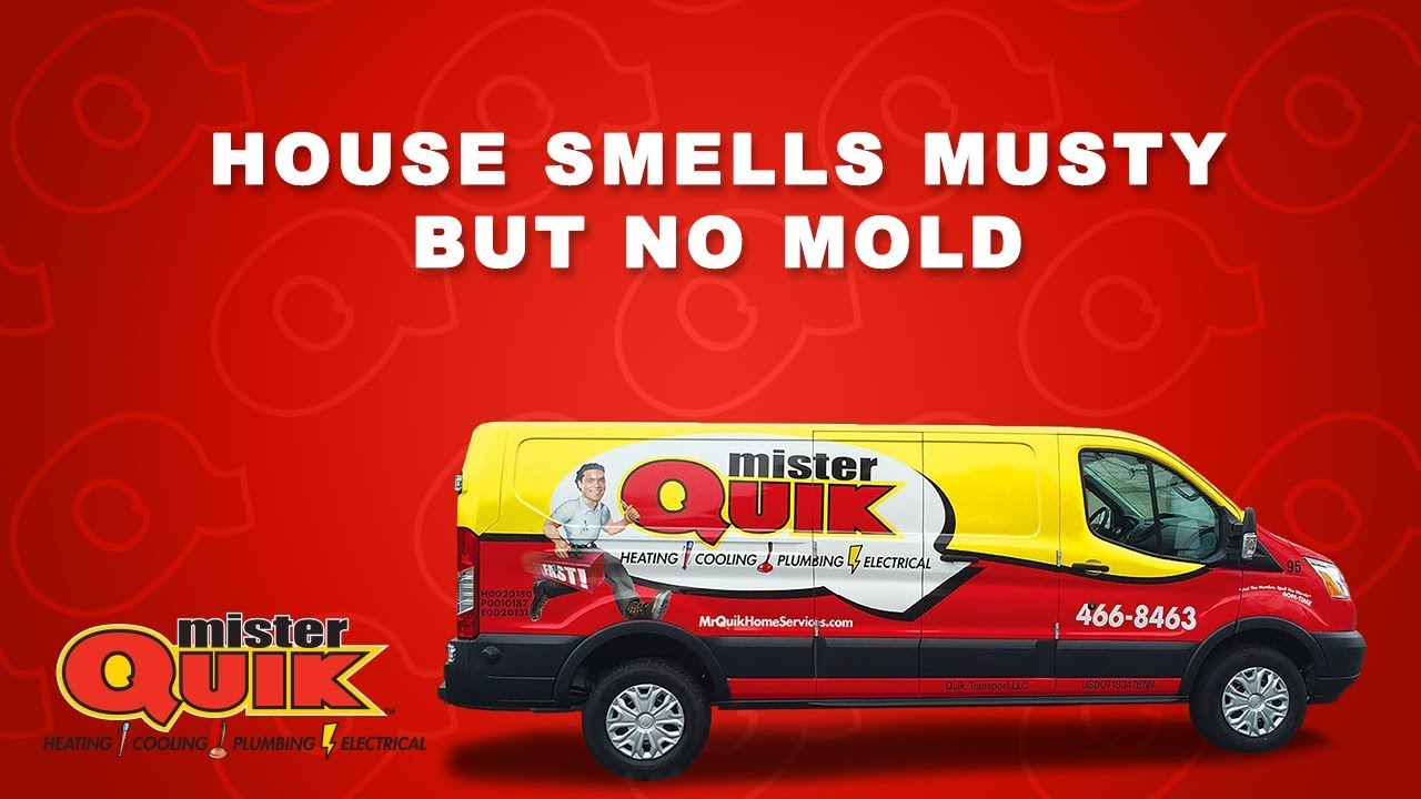 House smells musty but no mold