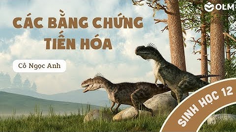 Các bằng chứng tiến hóa - Sinh học 12 - Ôn thi THPT quốc gia
