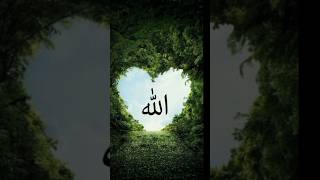 'Beautiful Allah Wallpaper | Powerful Islamic Background | 4K HD Allah Name Wallpaper'
