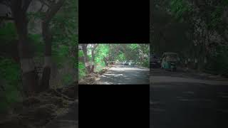 #minivlog day 13/60