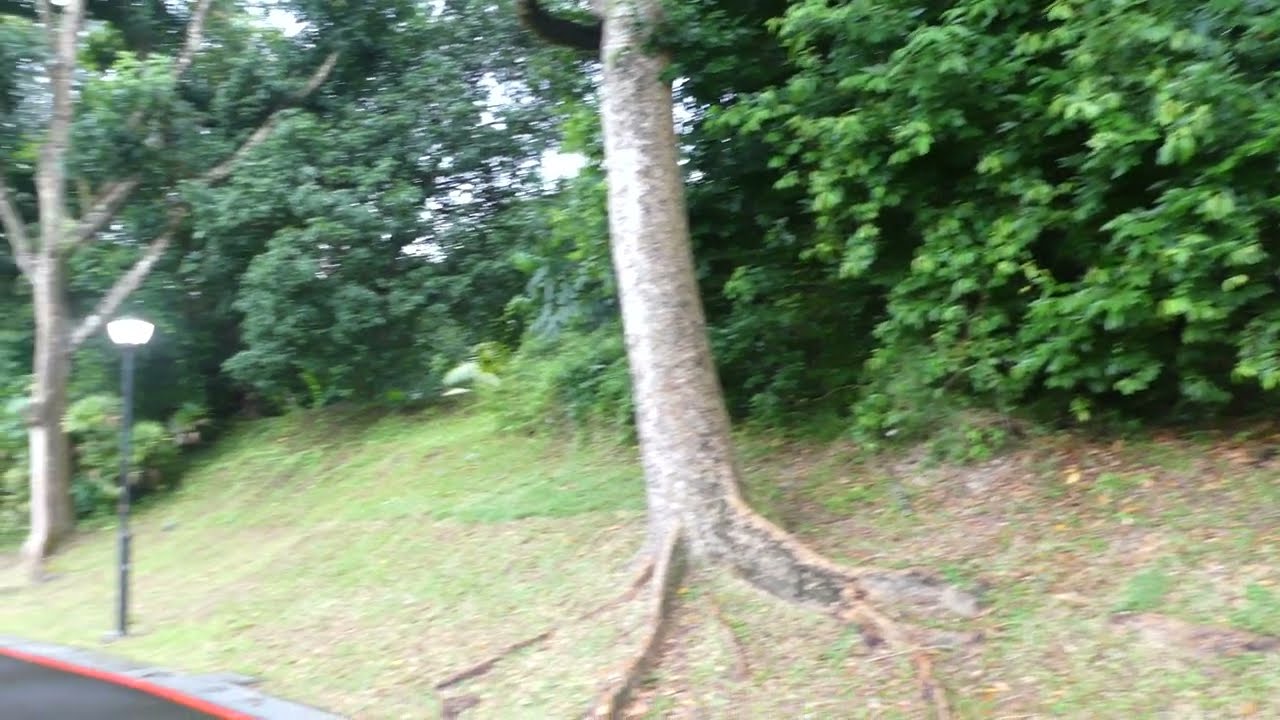 Where _ Saturday _ 17 January 2026 _ 6.48pm