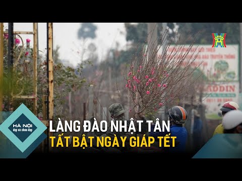 Làng đào Nhật