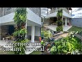 JARDIM VERTICAL COM PLANTAS NATURAIS