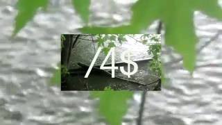 School - A Vulgar Artists Coffee Thoughts