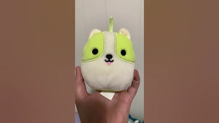 My collection part 2 #trending #viral #squishmallows #tiktok #fyp