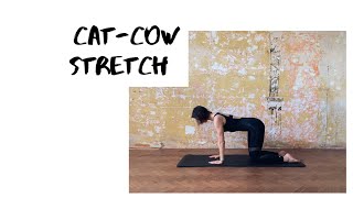 Собака Кошка в пилатесе - Cat Cow Stretch