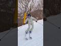 【Ski drills: 1. Parallel stance 2. One foot 3. One foot cross 4. Sideslip short rhythm】#skidrill