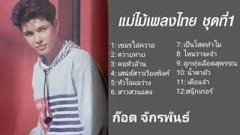 ก อต จ กรพรรณ อ ลบ ม แม ไม เพลงไทย.rar