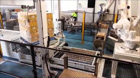 Robotic Palletiser with automatic stretch wrapper