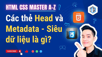 21. HTML Head và Metadata - Siêu dữ liệu | HTML CSS Master A-Z | TrungQuanDev