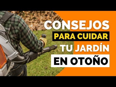 Video: Cuidado del césped en otoño - Cómo cuidar el césped en otoño