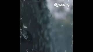 Download Lagu cover lagu lalisa dari natasya cho MP3