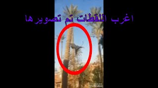 الكاميرات تصور اشياء لم نكن نتوقع مشاهدته في 3:40 دقائق- google40a2d16509aa9cb3.html