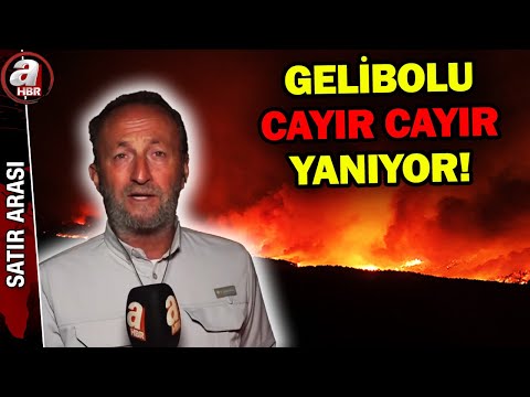 Çanakkale'de alarm! Orman yangını büyüyor | A Haber