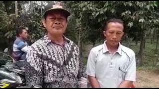 Warga Pemayung Batanghari Diduga Hilang di Sungai