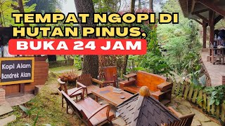 CAFE ALAM TEMPAT NGOPI DI HUTAN PINUS, WISATA VIRAL DI BOGOR