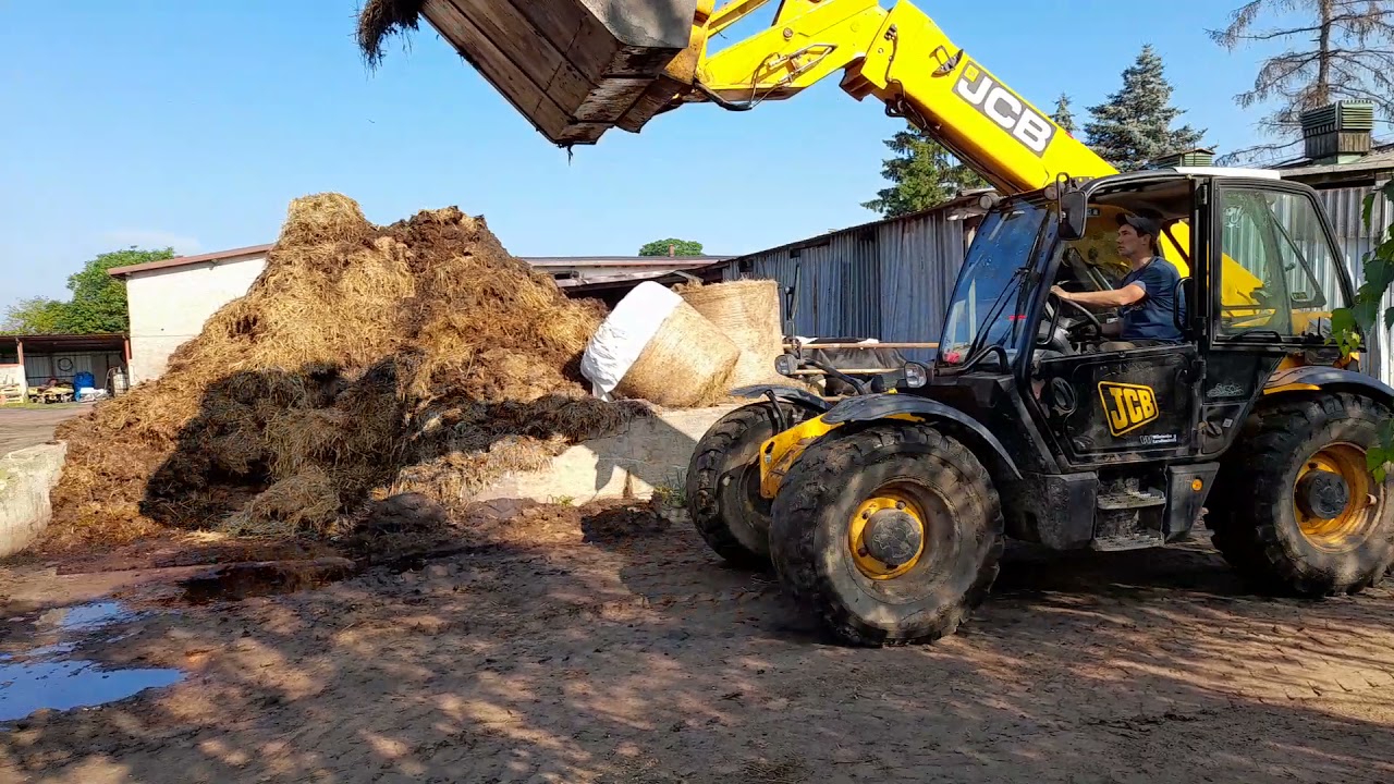 JCB 541-70 Wywalanie obornika z obory 2021