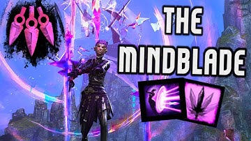Thousand Cuts Virtuoso [DPS] | GW2: End of Dragons PvE Build