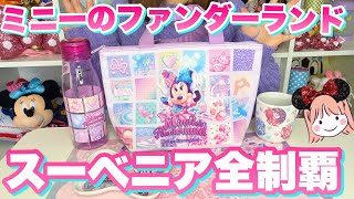 ミニーのファンダーランド　ジュエリーボックス ミニーのファンダーランド ジュエリーボックス ミニーが夢に描いた