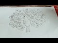 How to draw a peacock ||Mor drawing ||Easy drawing