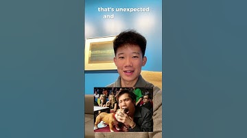 How does AI understand your prompts? #AI #NLP #MachineLearning #ArtificialIntelligence #Embeddings