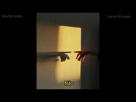 ᴛʜᴇ ᴍᴀᴄʀᴏʙᴀᴛs - ᴡᴇʏᴍᴏᴜᴛʜ [ ᴛʀᴀᴅᴜᴄ̧ᴀ̃ᴏ/ʟᴇɢᴇɴᴅᴀᴅᴏ]
