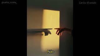 ᴛʜᴇ ᴍᴀᴄʀᴏʙᴀᴛs - ᴡᴇʏᴍᴏᴜᴛʜ [ ᴛʀᴀᴅᴜᴄ̧ᴀ̃ᴏ/ʟᴇɢᴇɴᴅᴀᴅᴏ]