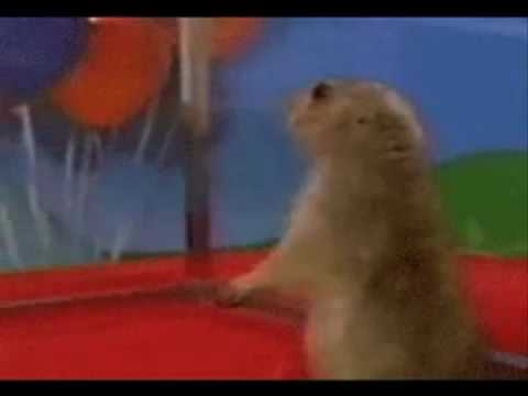 THE BEST OF DRAMATIC CHIPMUNK