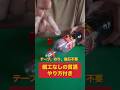 仕込み無いコイン貫通 coin through the bottle magic trick tutorial#マジック #magic #shorts