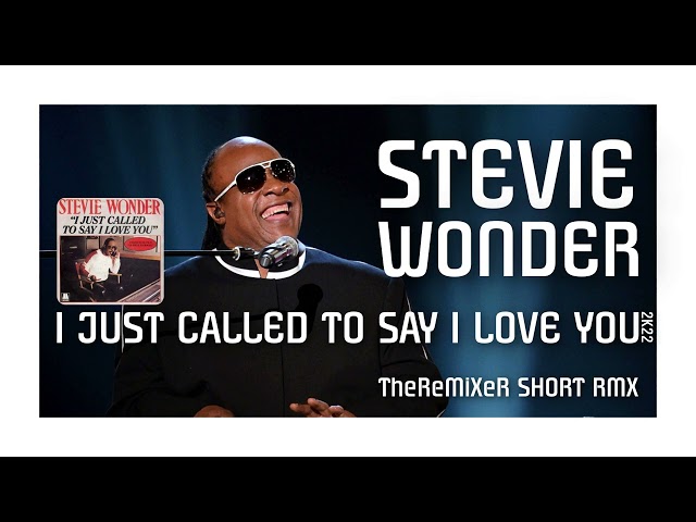 Stevie Wonder - I Just Called To Say I Love You 2k22