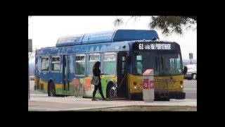 Why do I sometimes see empty buses (GET BUS)