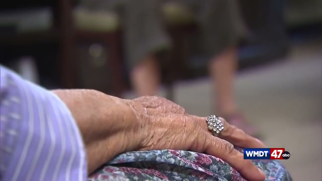 Thanksgiving Party Tips || WMDT