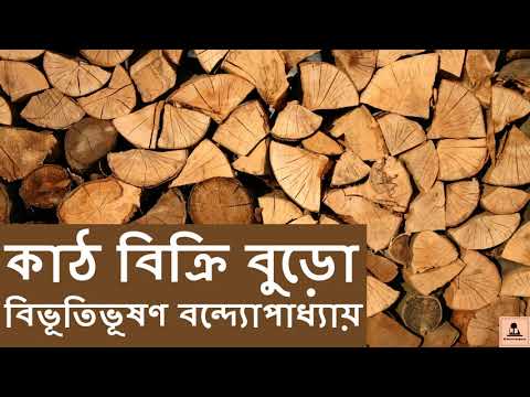 ভিডিও: স্টিভেন হির্শ নেট ওয়ার্থ: উইকি, বিবাহিত, পরিবার, বিবাহ, বেতন, ভাইবোন