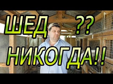 8 ПРИЧИН НЕ СТРОИТЬ ШЕД ДЛЯ КРОЛИКОВ!!!