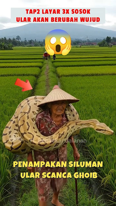 ⚠️‼️ penampakan siluman ular 😱 #shoct #shorts
